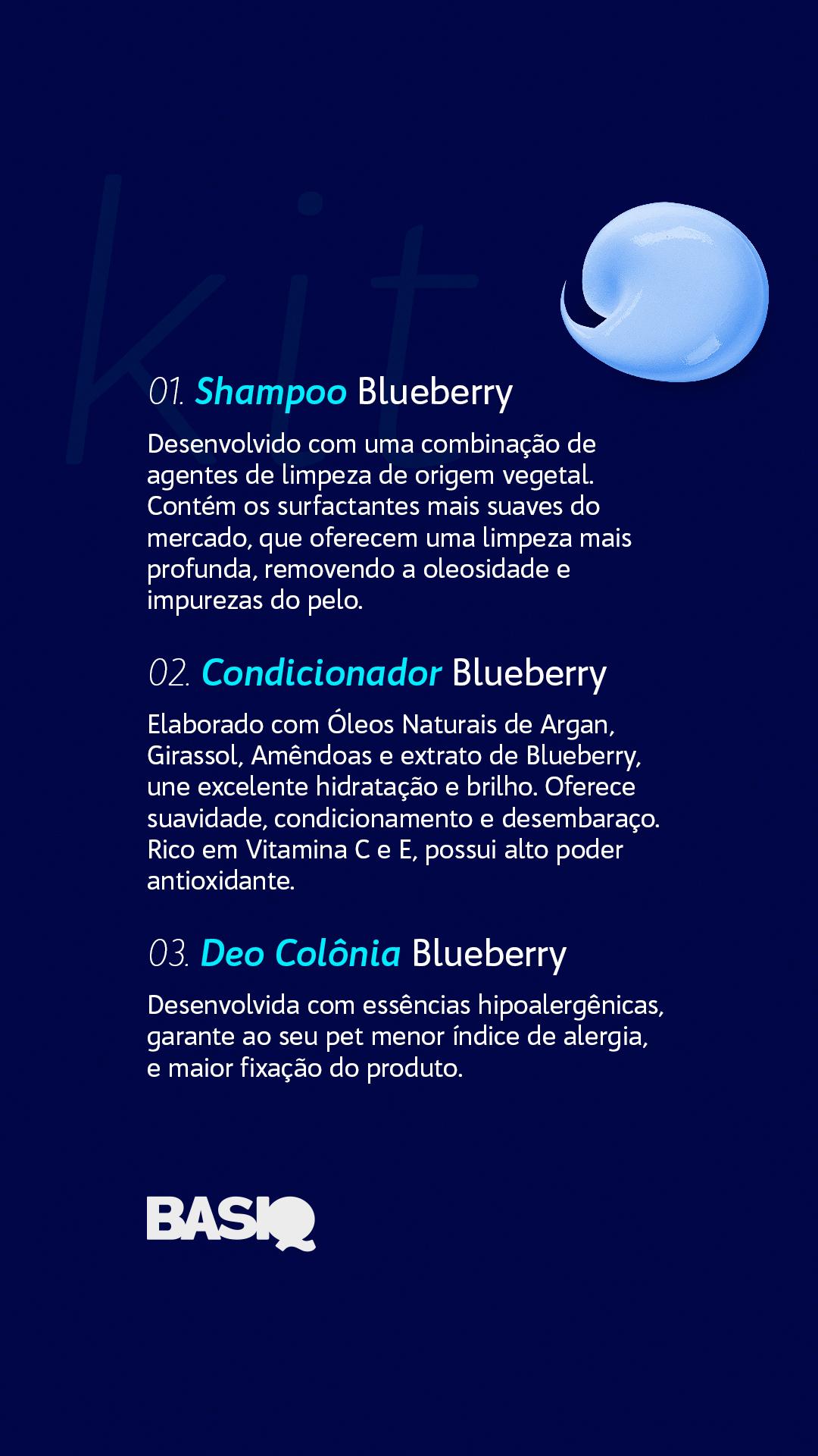 STORIES (CARROSSEL) - QUAIS PRODUTOS COMPÕE A LINHA BASIQ?