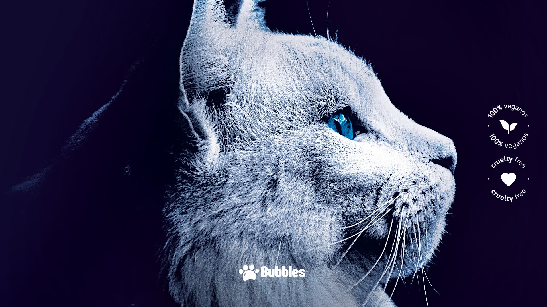 WALLPAPER - PET SOUTH (GATO)