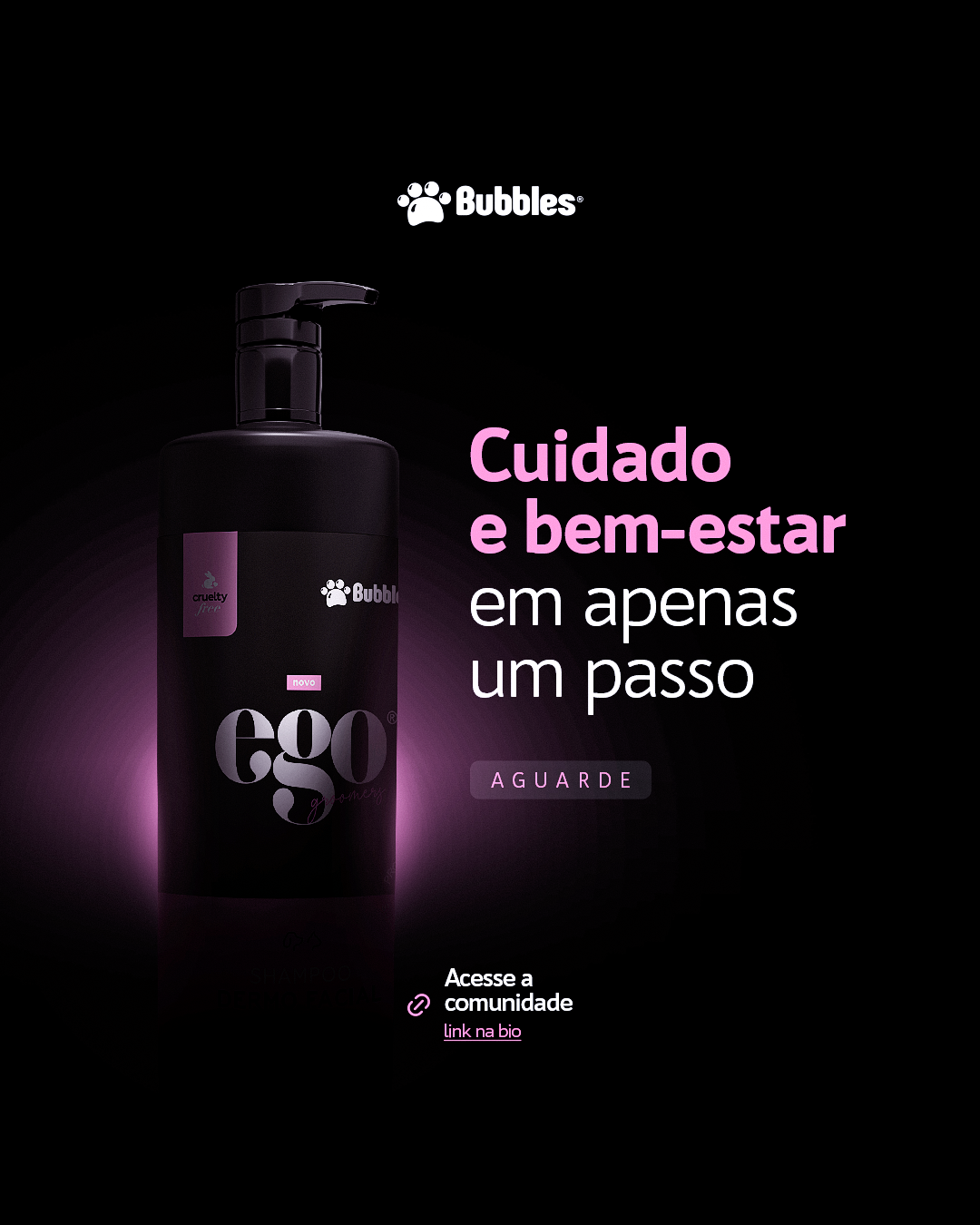 POST - TEASER 3 (LANÇAMENTO)