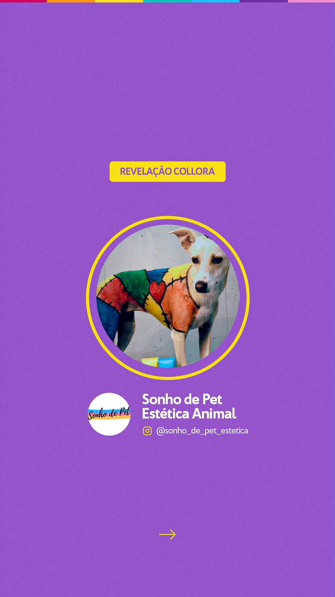 STORIES - GANHADORES DESAFIO COLLORA