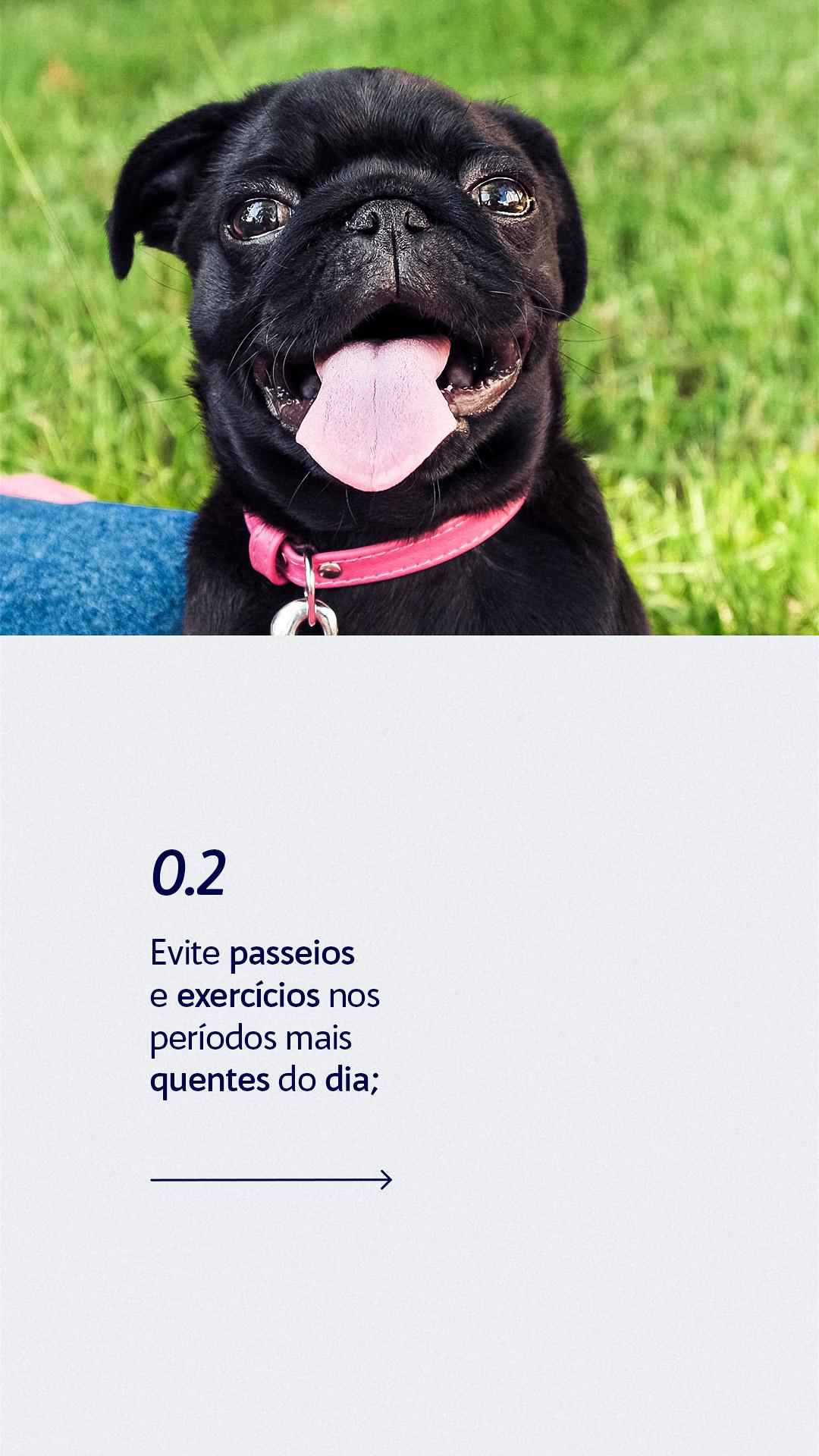 STORY - DICAS CALOR (SUMMER)