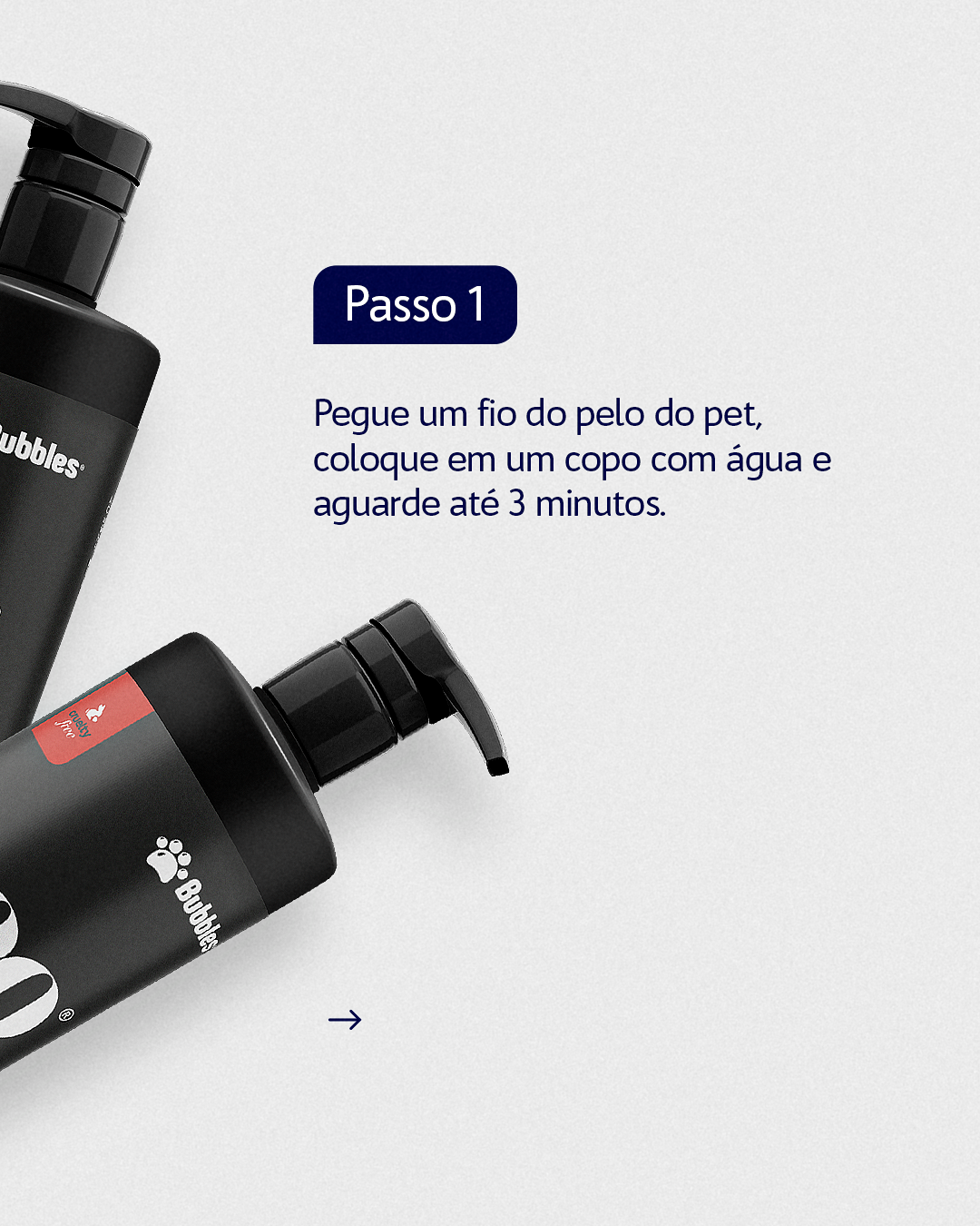 CARROSSEL - CRONOGRAMA DE PELAGEM