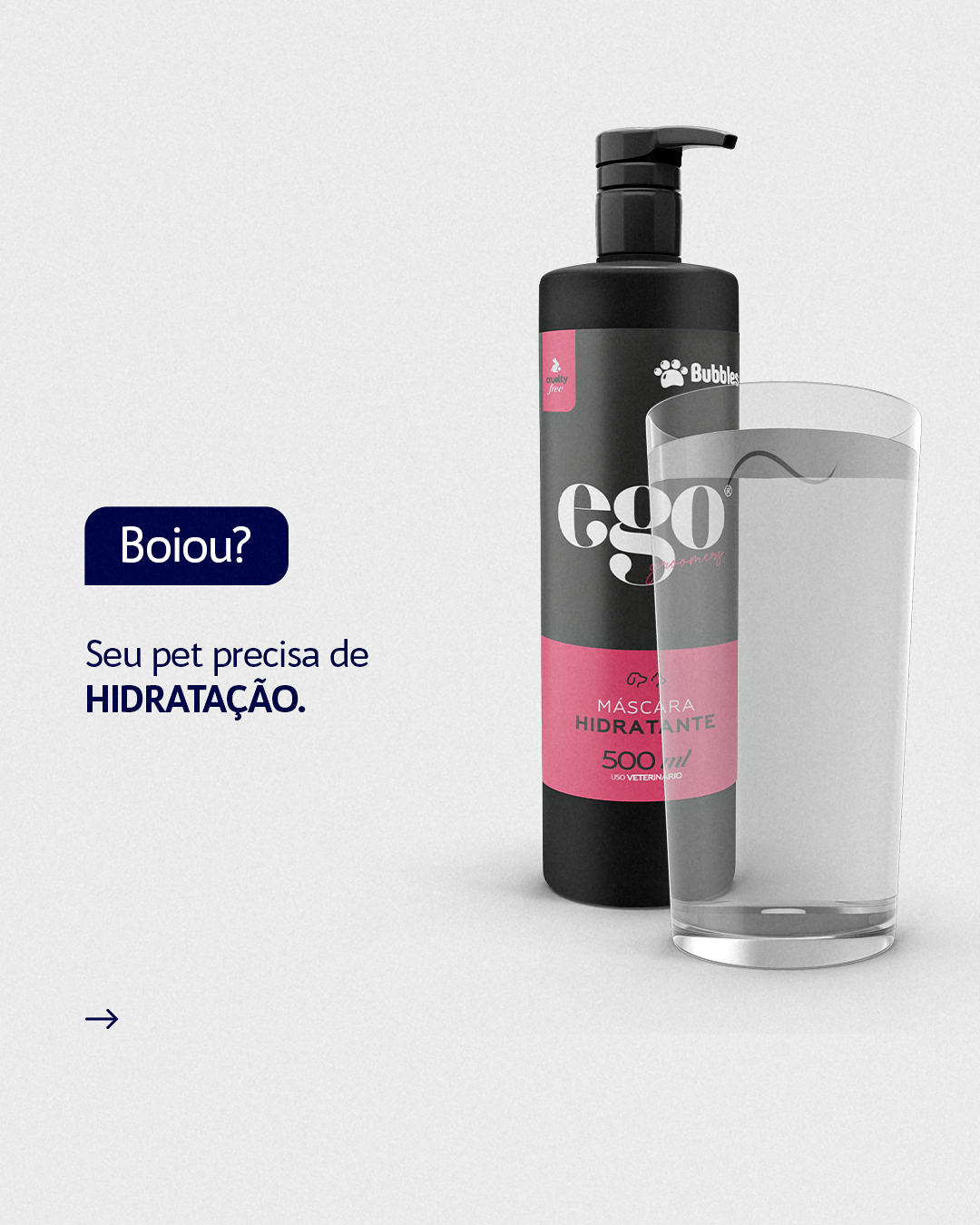 CARROSSEL - CRONOGRAMA DE PELAGEM