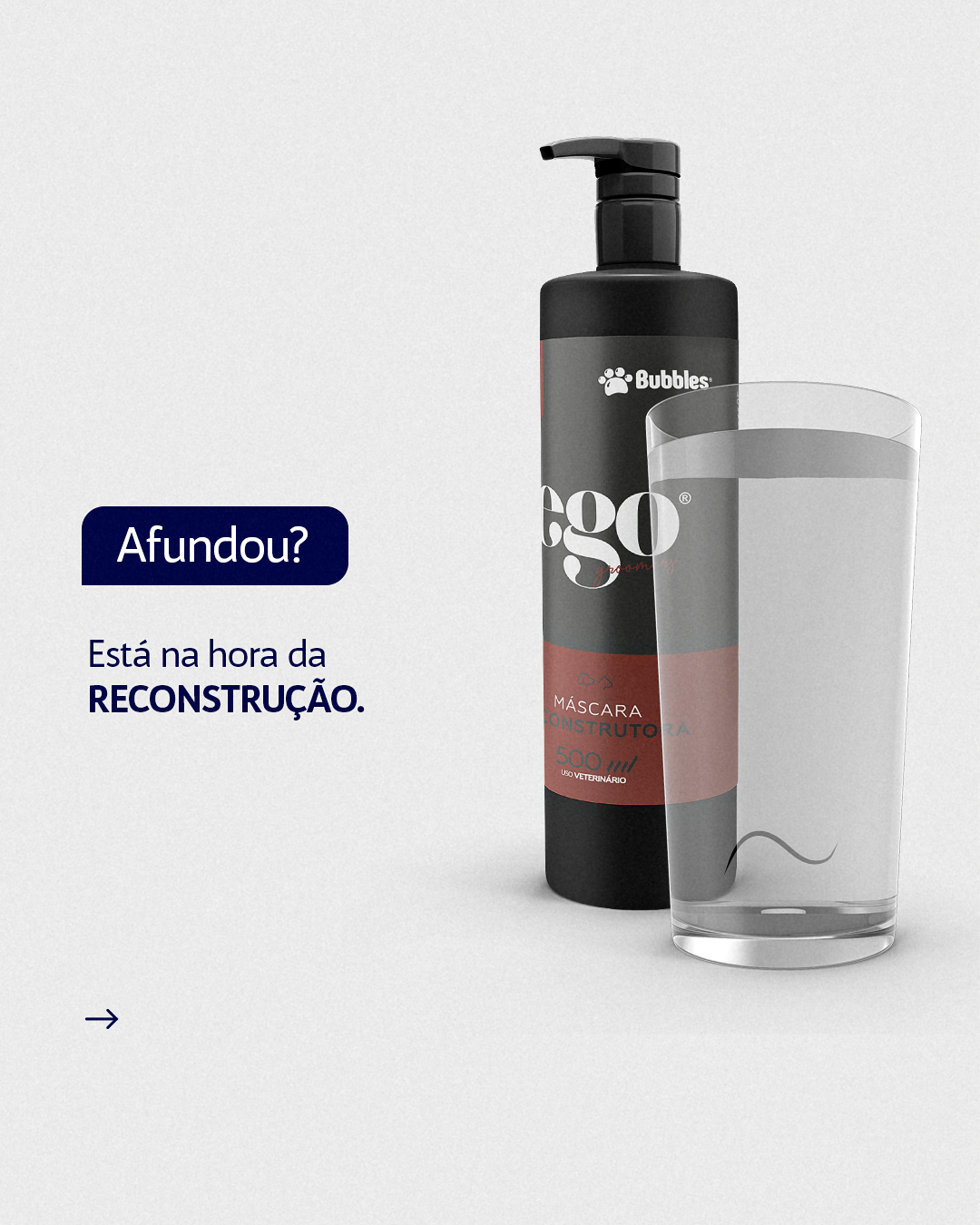 CARROSSEL - CRONOGRAMA DE PELAGEM