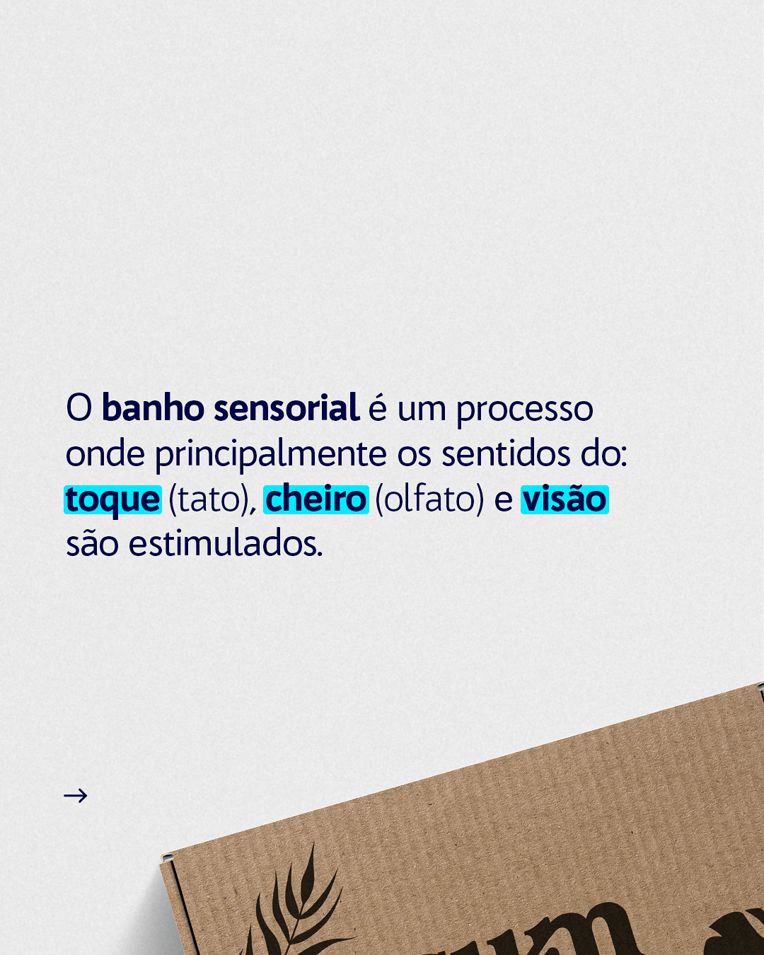 CARROSSEL - BANHO SENSORIAL