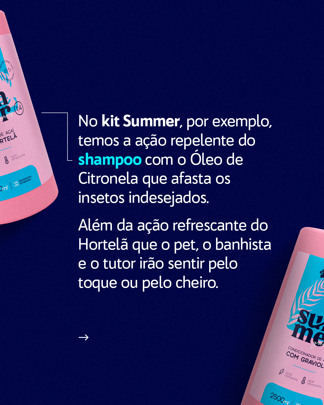 CARROSSEL - BANHO SENSORIAL