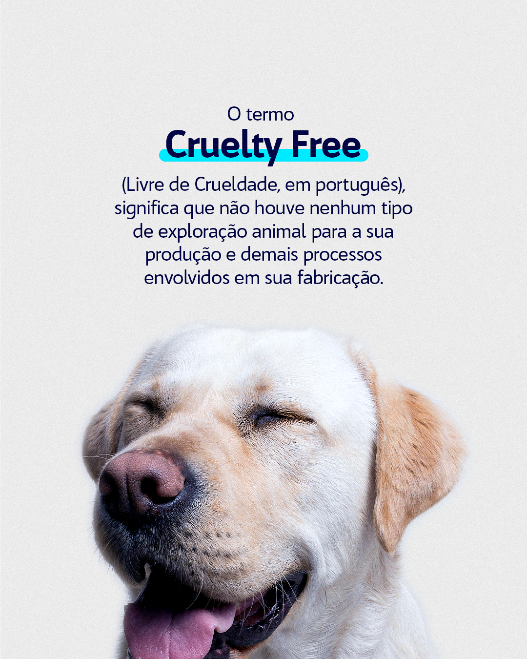 CARROSSEL - SELO CRUELTY FREE