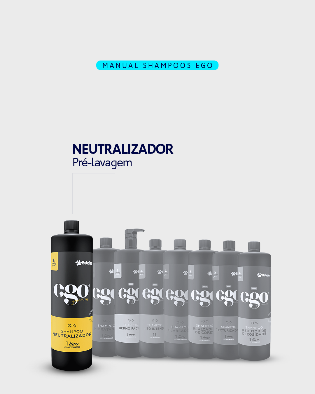 CARROSSEL - DESCUBRA O SHAMPOO IDEAL