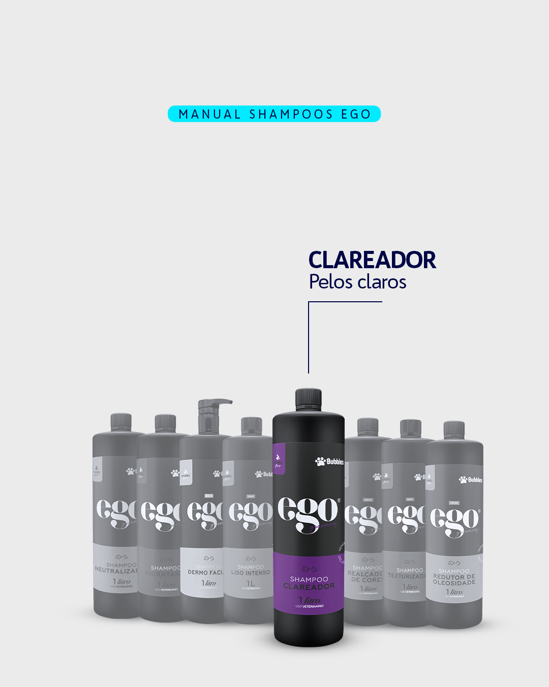 CARROSSEL - DESCUBRA O SHAMPOO IDEAL
