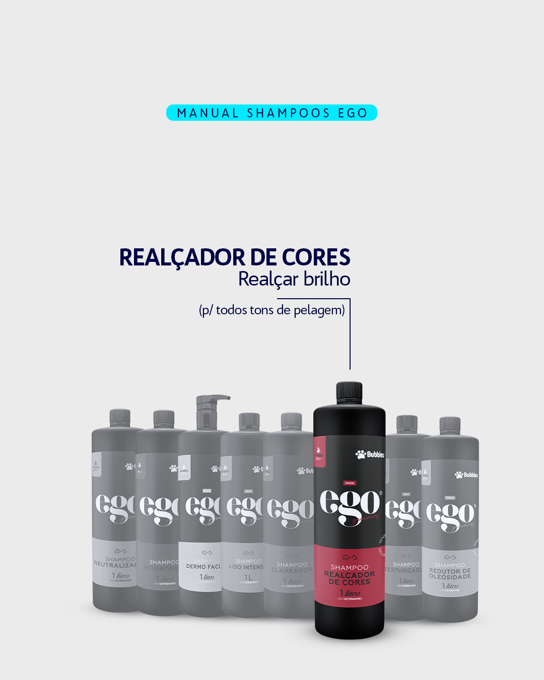 CARROSSEL - DESCUBRA O SHAMPOO IDEAL