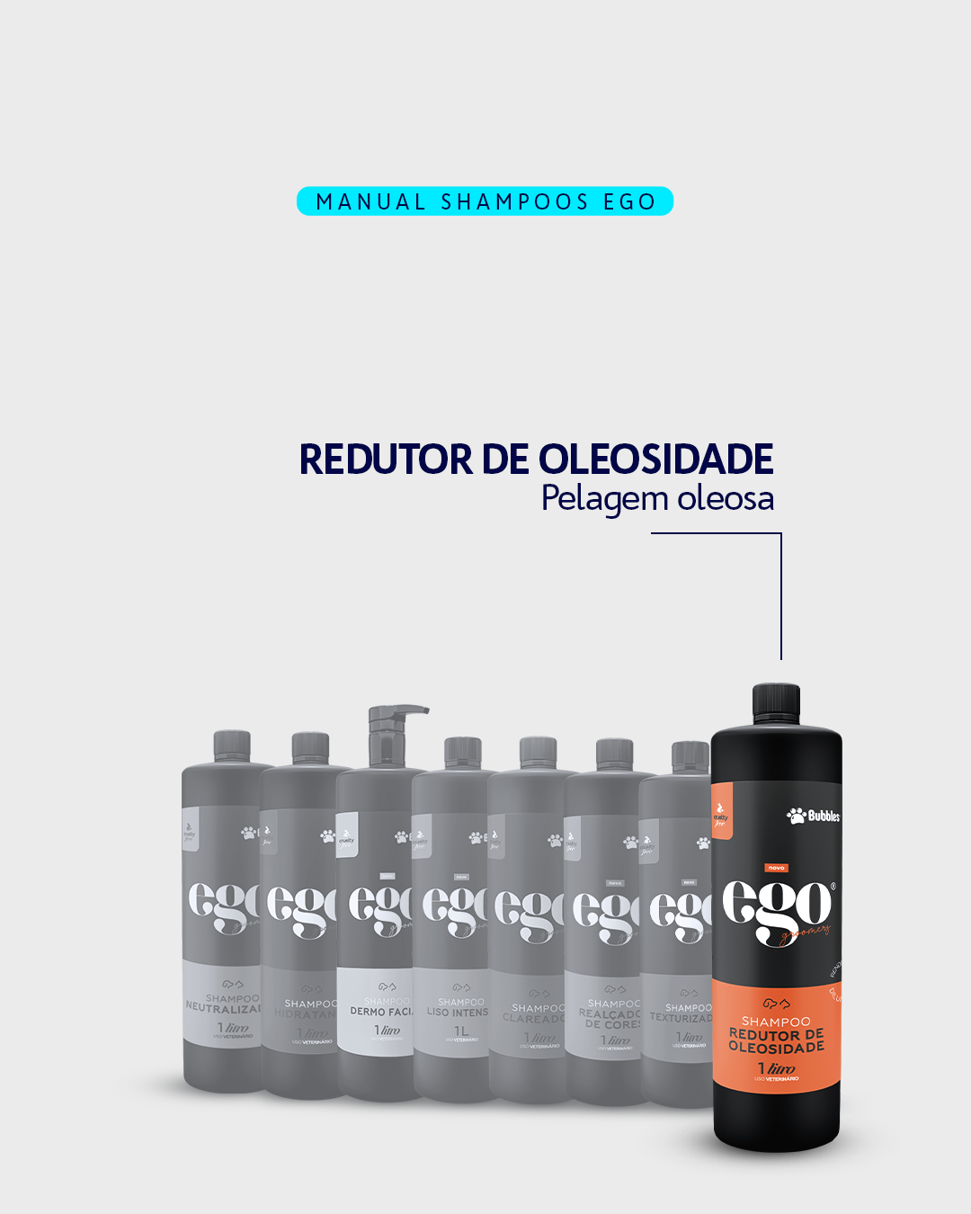 CARROSSEL - DESCUBRA O SHAMPOO IDEAL