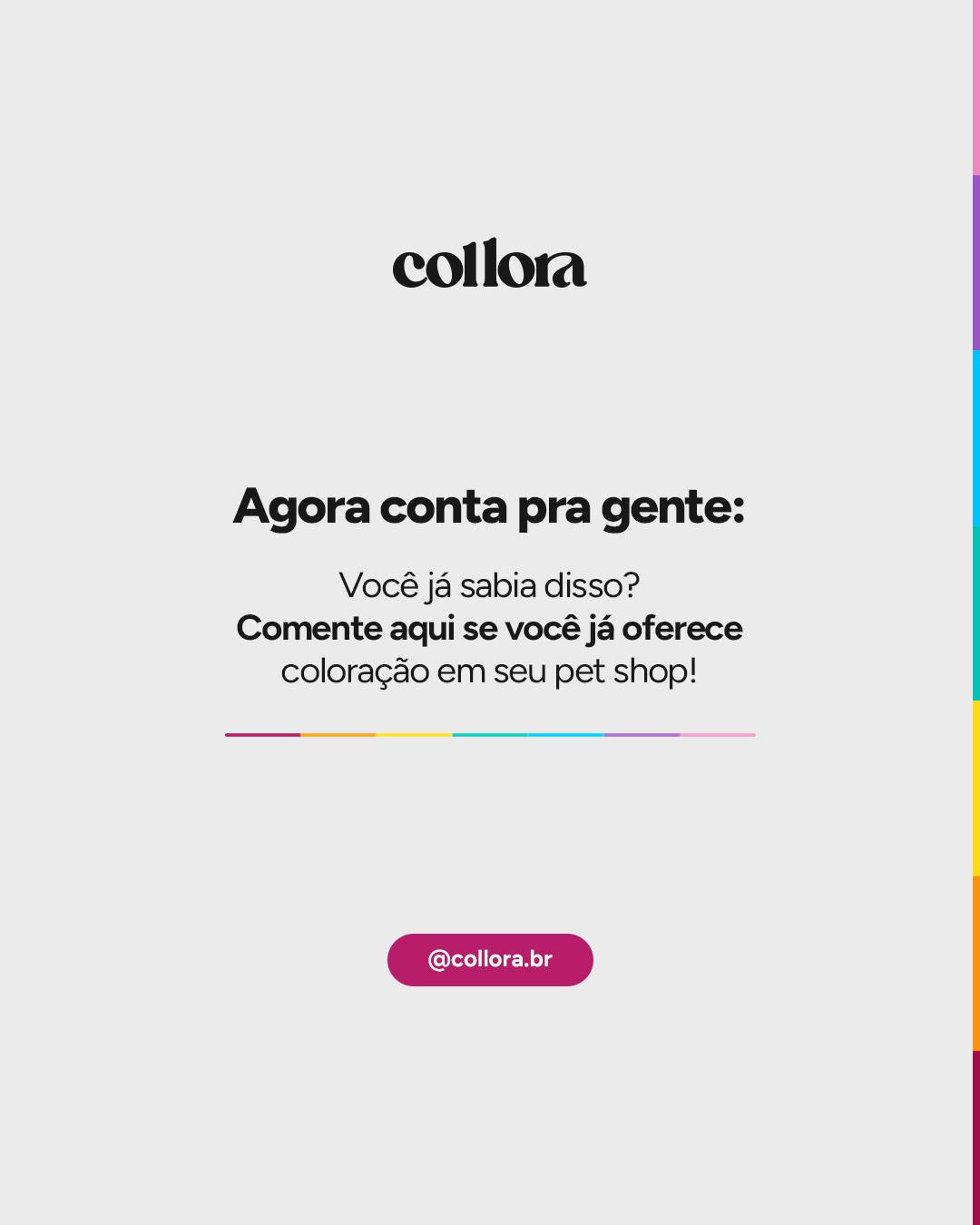 CARROSSEL INSTA/FACE: DURAÇÃO DA COLORAÇÃO