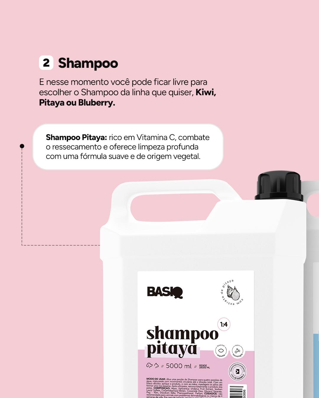 CARROSSEL INSTA/FACE: ORDEM CORRETA BANHO BASIQ