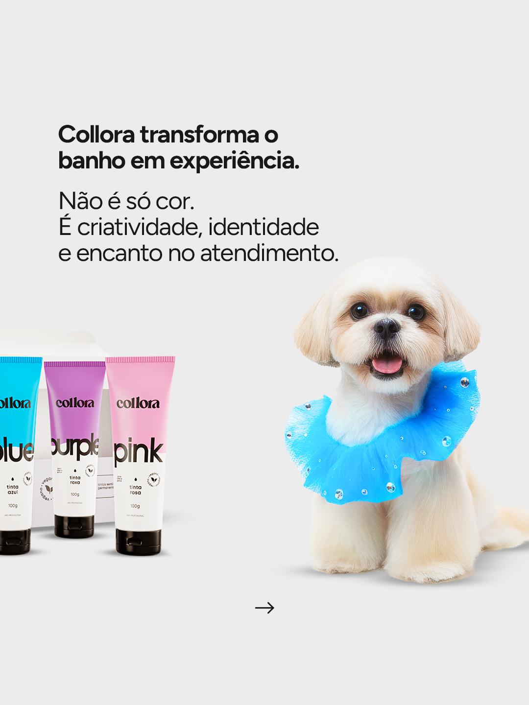 CARROSSEL INSTA/FACE: COLLORA COMO DIFERENCIAL PROFISSONAL