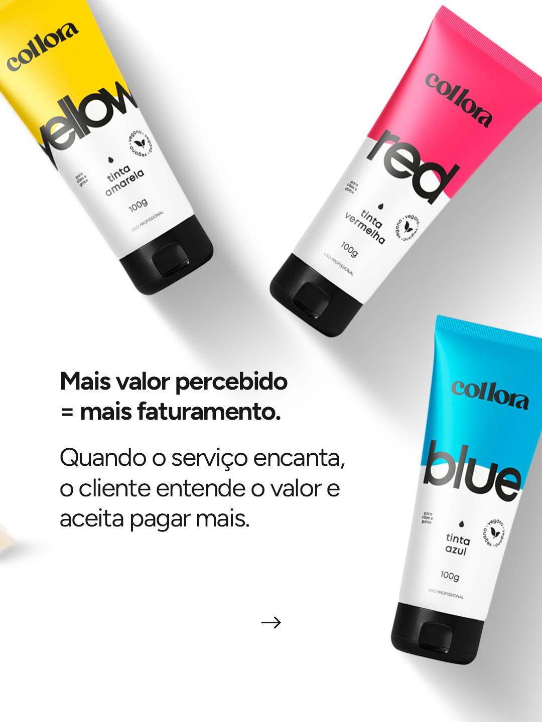 CARROSSEL INSTA/FACE: COLLORA COMO DIFERENCIAL PROFISSONAL