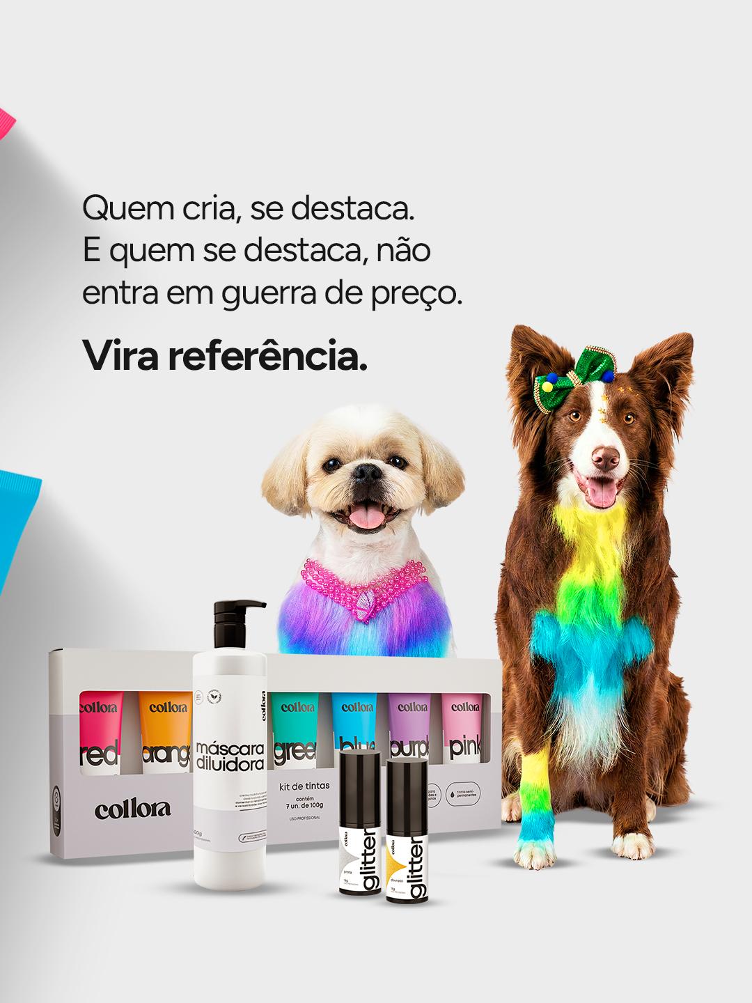 CARROSSEL INSTA/FACE: COLLORA COMO DIFERENCIAL PROFISSONAL