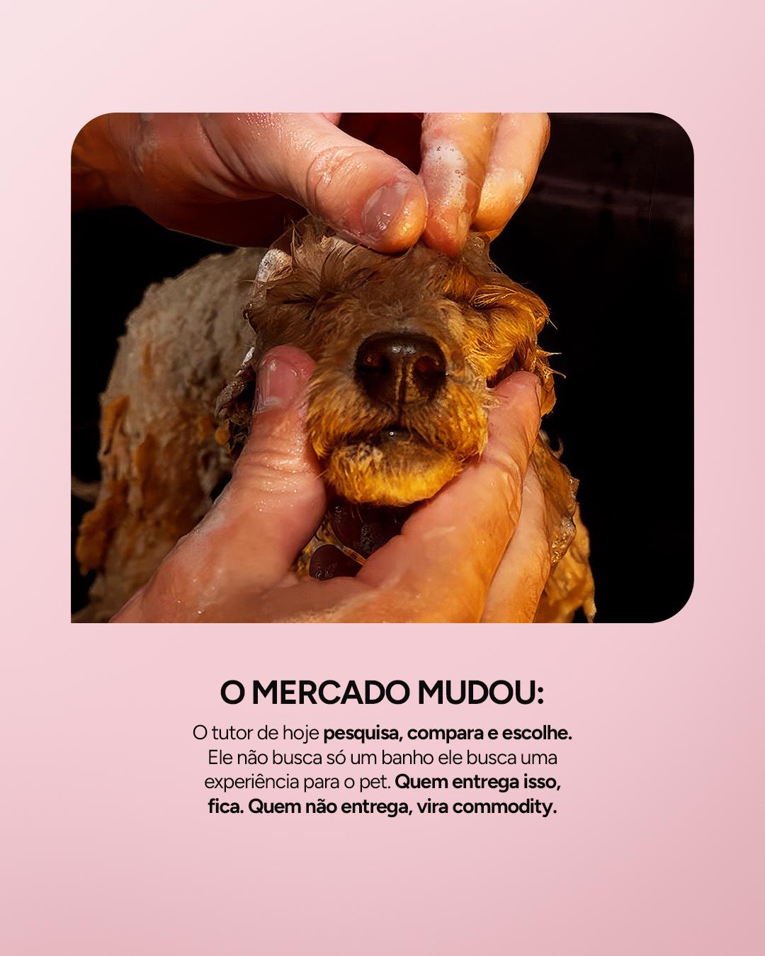 CARROSSEL INSTA/FACE: INVESTIMENTO EM BANHOS DIFERENTES