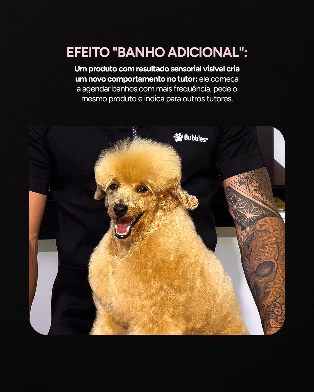 CARROSSEL INSTA/FACE: INVESTIMENTO EM BANHOS DIFERENTES