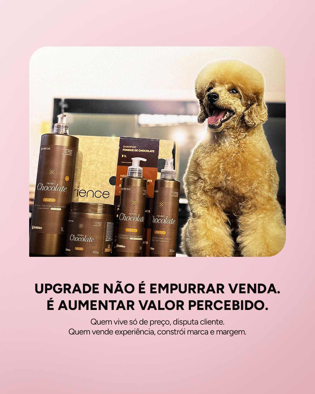 CARROSSEL INSTA/FACE: UPGRADE DE R$20…