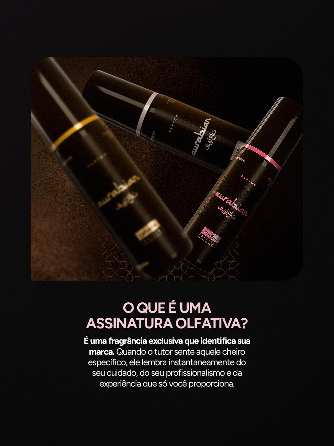 CARROSSEL INSTA/FACE: ASSINATURA OLFATIVA