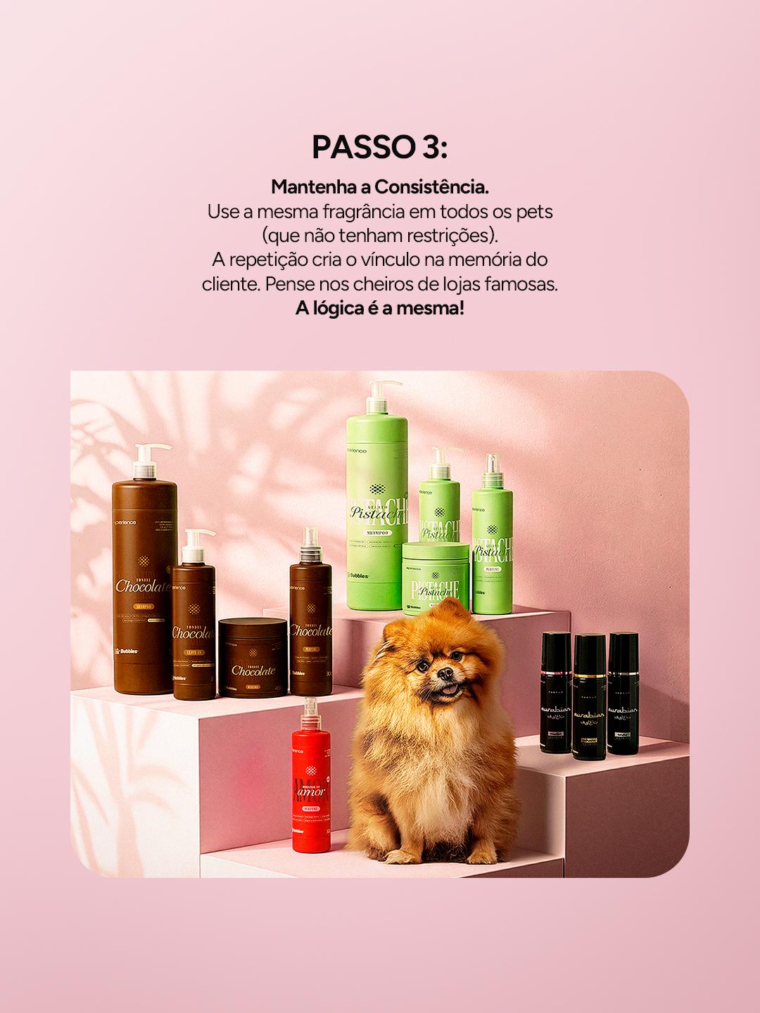 CARROSSEL INSTA/FACE: ASSINATURA OLFATIVA