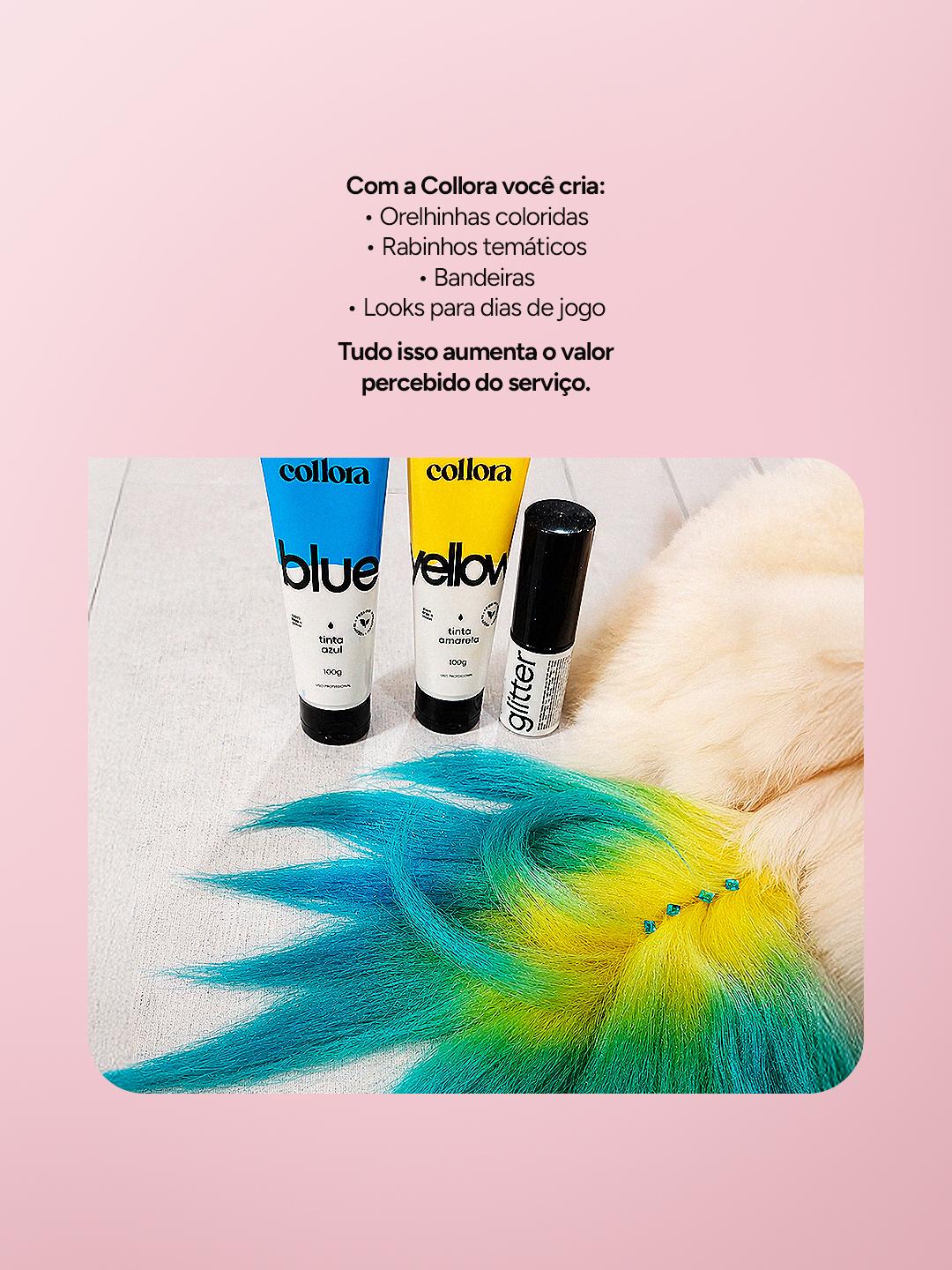 COLORAÇÃO COPA DO MUNDO