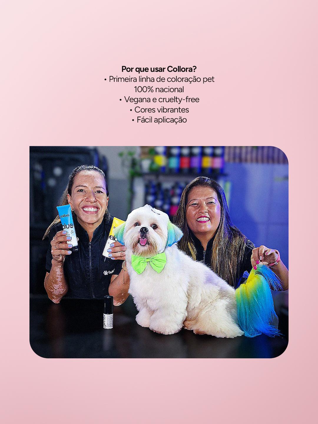 COLORAÇÃO COPA DO MUNDO