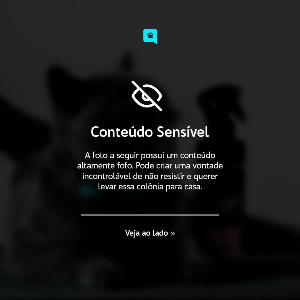 POST - CONTEÚDO SENSÍVEL [DEO COLÔNIA BABY]