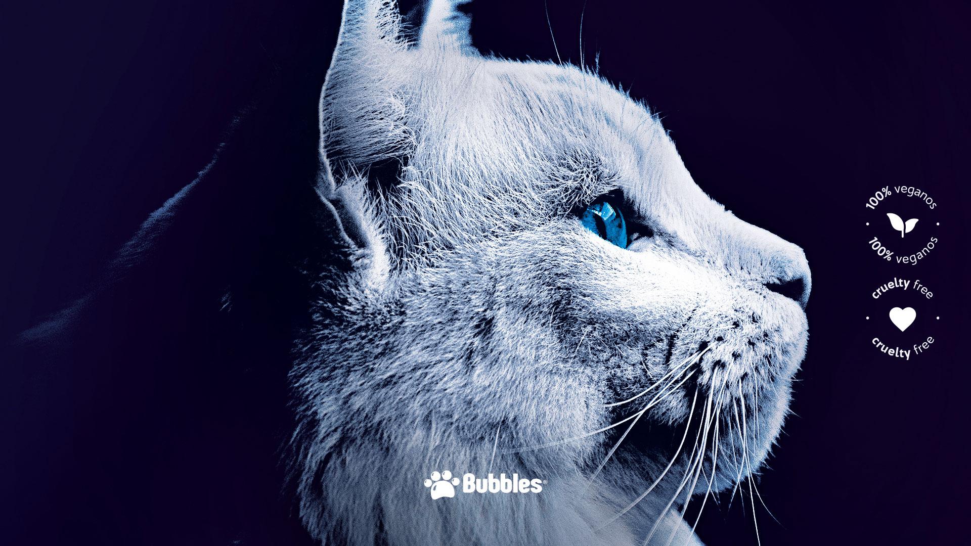 WALLPAPER - PET SOUTH (GATO)