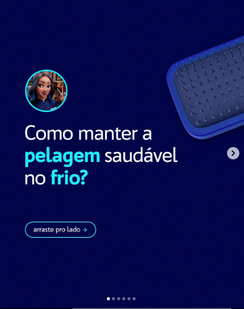 POST (CARROSSEL) - COMO MANTER A PELAGEM SAUDÁVEL NO FRIO