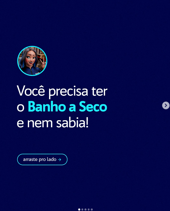 POST (CARROSSEL) - COMO USAR O BANHO A SECO