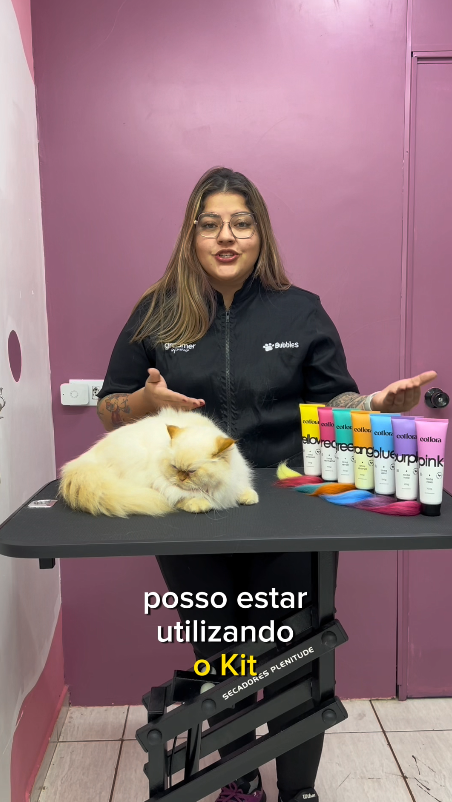 VÍDEO - VERDADE X MENTIRA - COLORAÇÃO EM GATOS