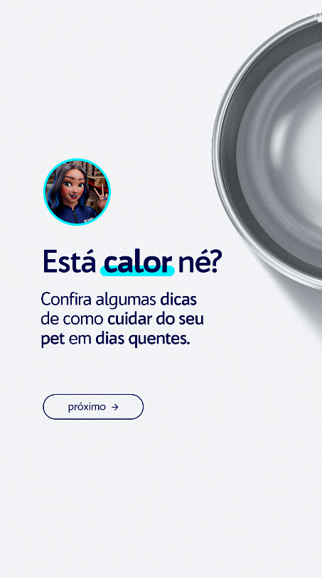 STORY - DICAS CALOR (SUMMER)