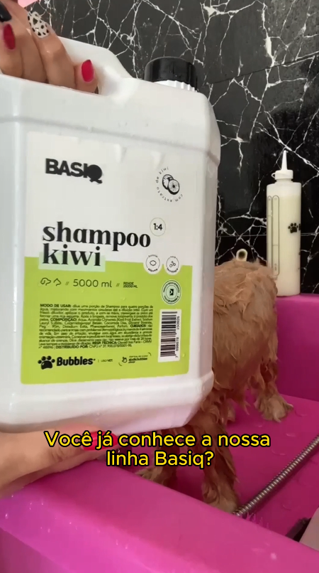 REELS - LINHA BASIQ (WERYKA)