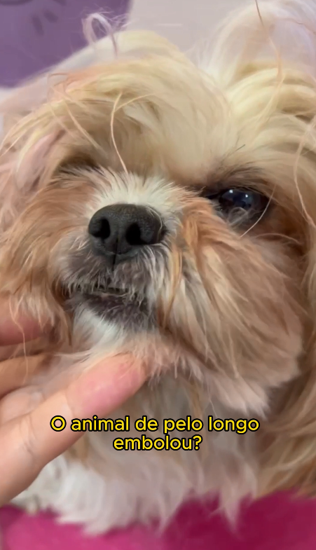 REELS - CREME DESEMBARAÇADOR