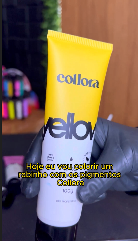 REELS - COMO FAZER UMA COLORAÇÃO (DANI LEMES)