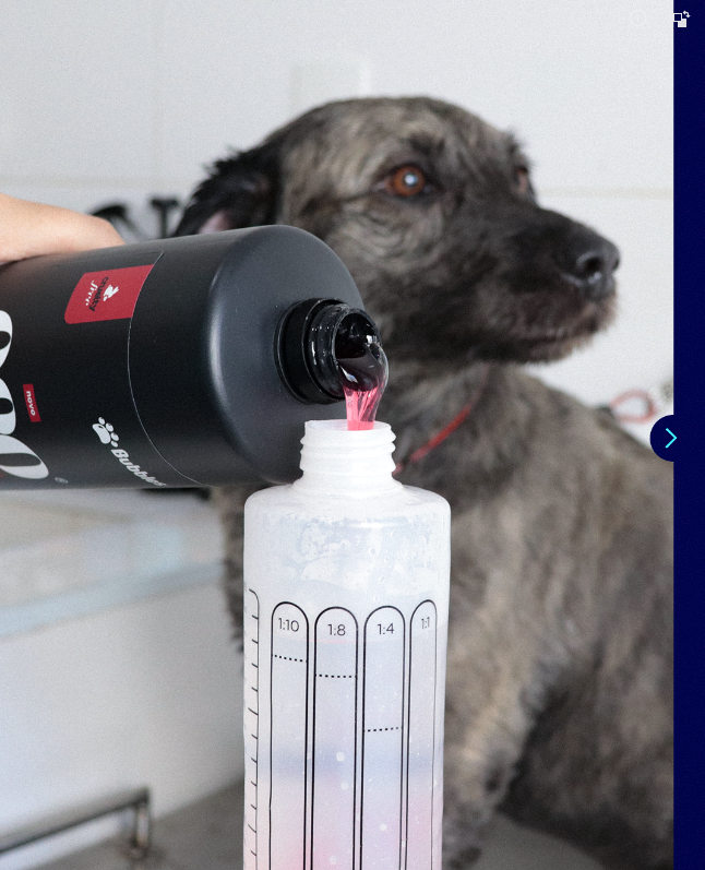 CARROSSEL - REALÇADOR DE CORES