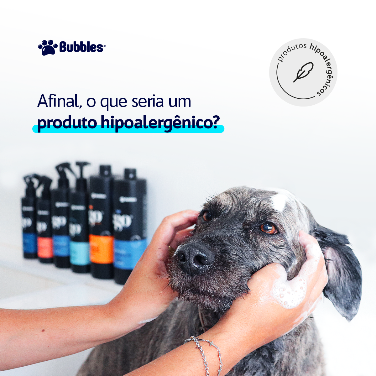 LINKEDIN - PRODUTOS HIPOALERGENICOS