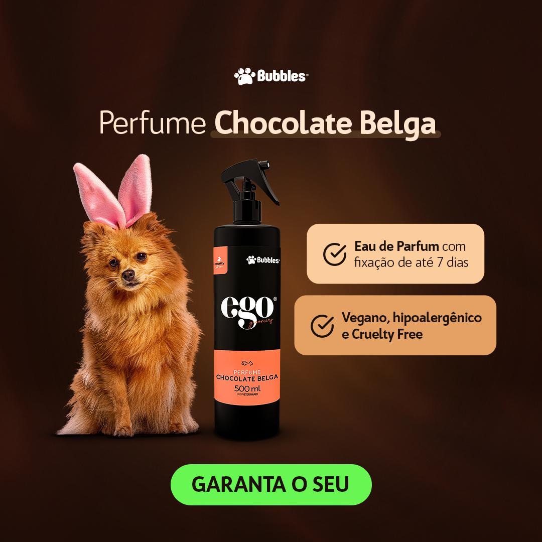 Criativo - Chocolate Belga (Feed)