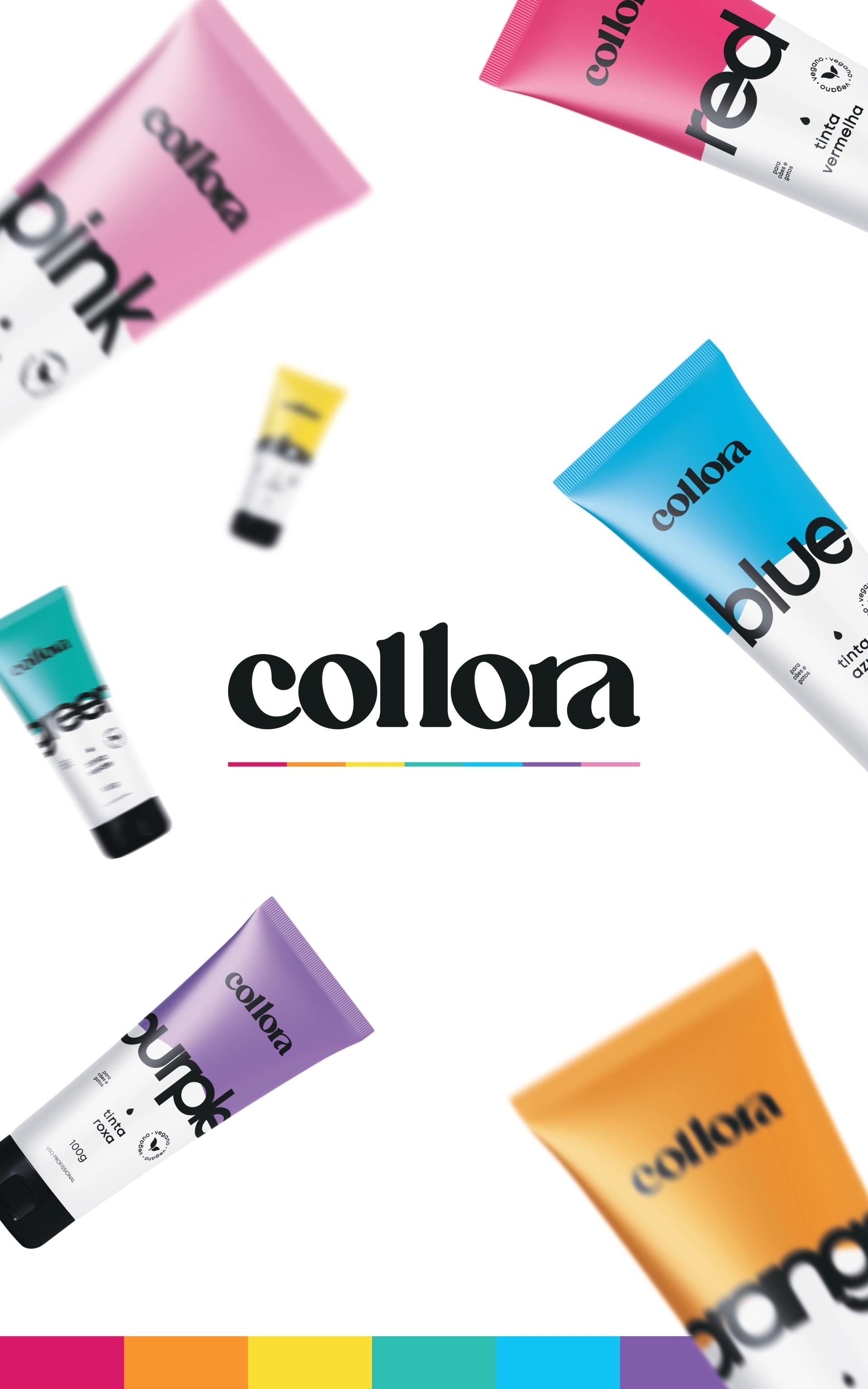 IMPRESSOS - BANNER COLLORA (75x120)