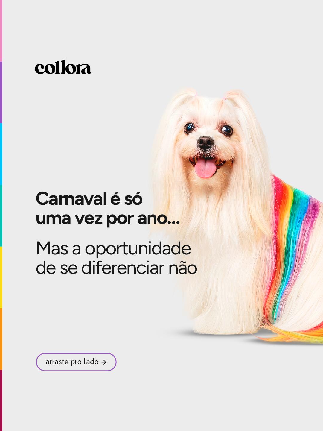 CARROSSEL INSTA/FACE: COLLORA COMO DIFERENCIAL PROFISSONAL