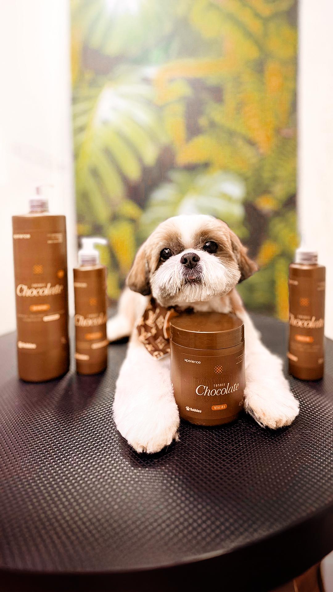 REELS INSTA/FACE: BANHO COMPLETO FONDUE DE CHOCOLATE