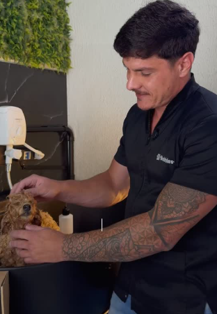 REELS INSTA/FACE: O QUE FAZER PARA AUMENTAR O PREÇO DO BANHO