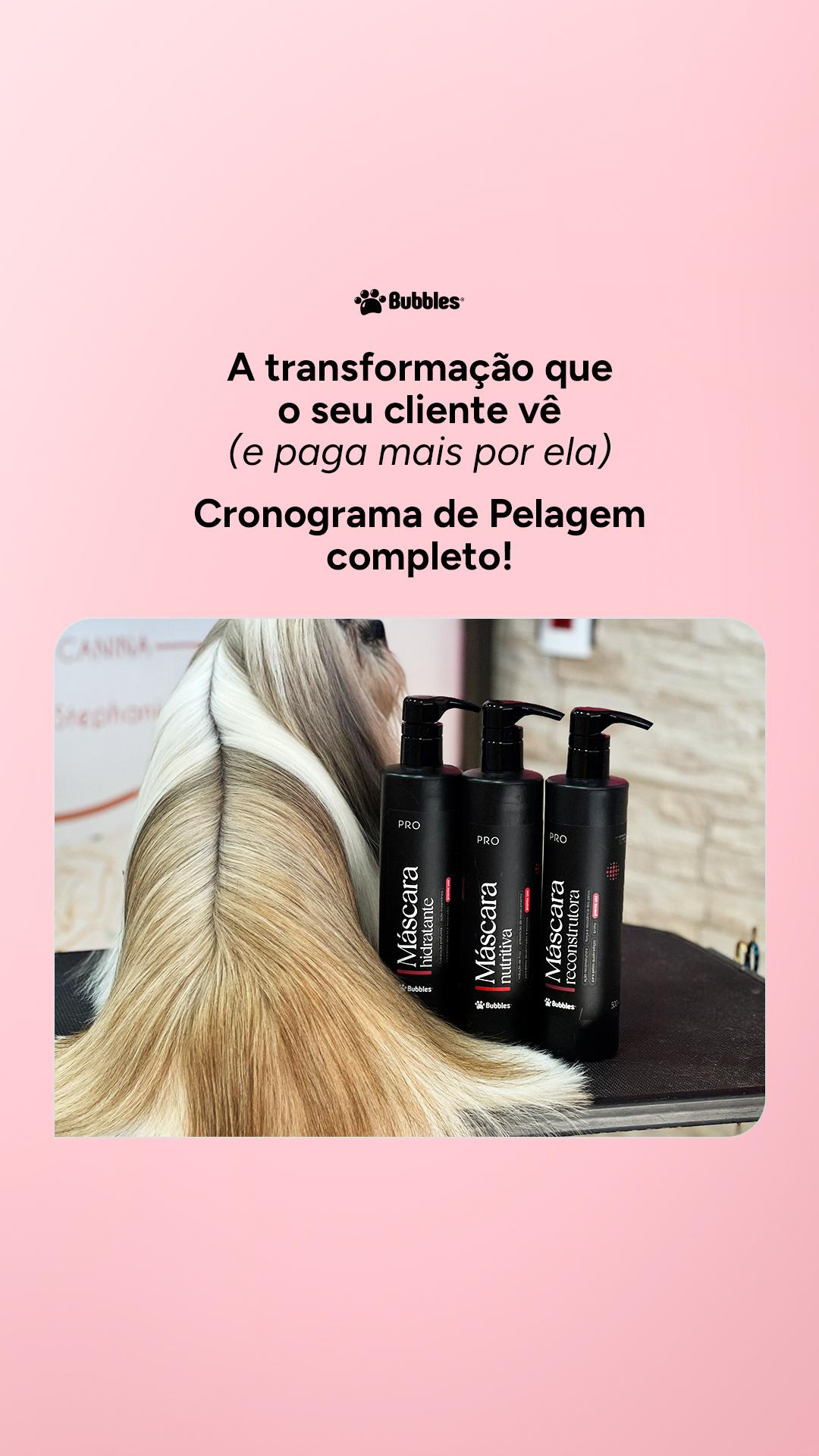 REELS INSTA/FACE: ANTES E DEPOIS CRONOGRAMA