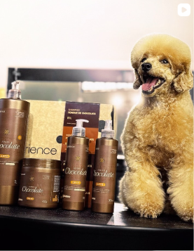 REELS INSTA/FACE: BANHO DE CHOCOLATE GUI MENDES
